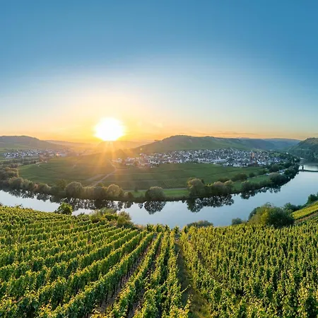 In The Eifel-mosel With Garden *