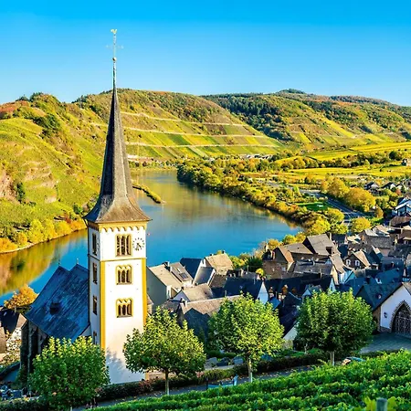 In The Eifel-mosel With Garden Roes